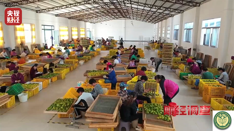 4 监督调查-2.png