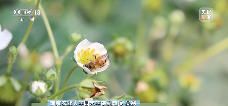 15 消费调查-2.png