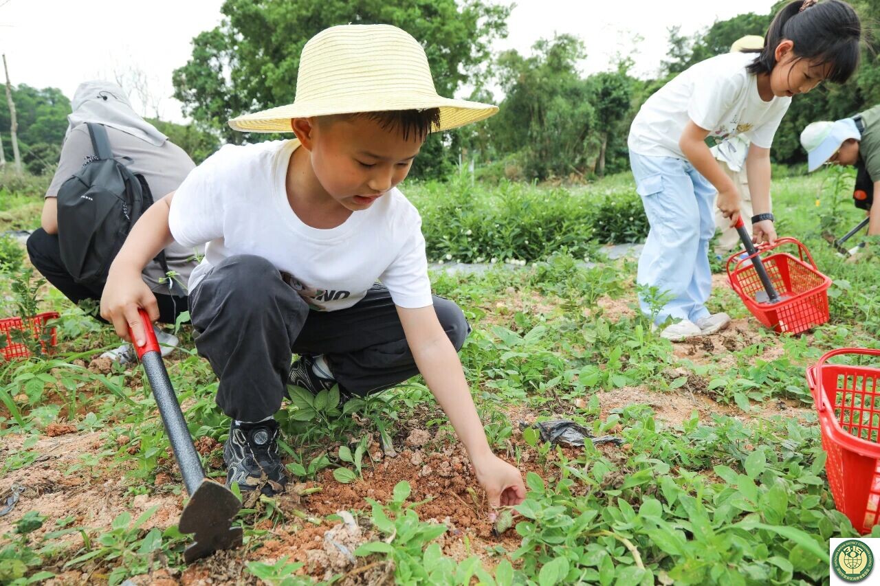 10、新闻头条-2.jpg