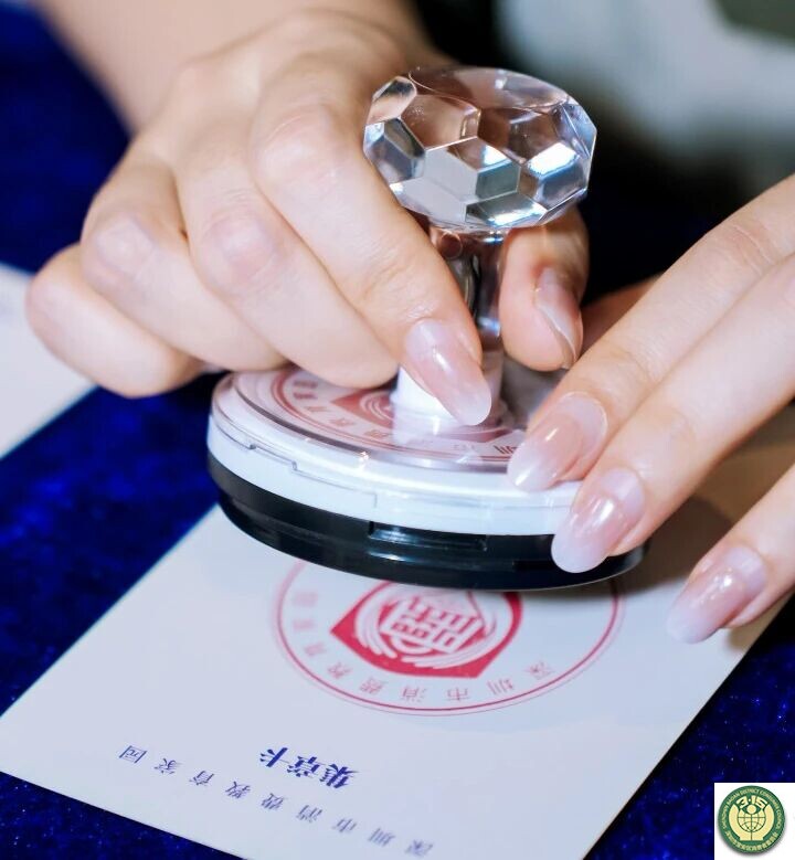 10 新闻头条-9.jpg